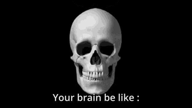 a black and white image of a skull with the words your brain be like below it