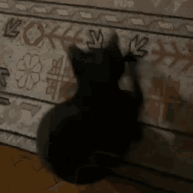Blackcat Funny GIF - Blackcat Funny Jijicat GIFs