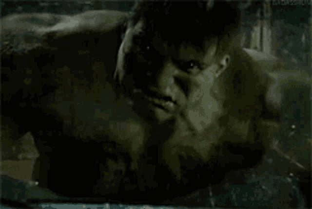 a close up of a person 's face with the word hulk on the bottom