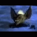 Gremlins Scary GIF - Gremlins Scary Creepy GIFs