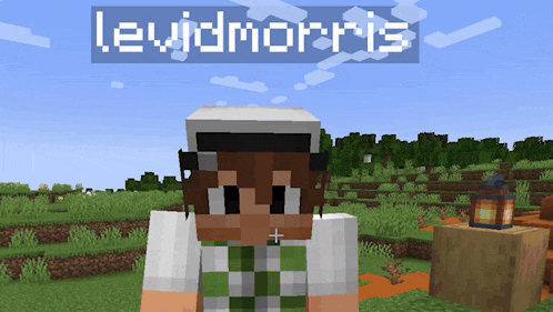 a minecraft character with the name levidmorris on the top