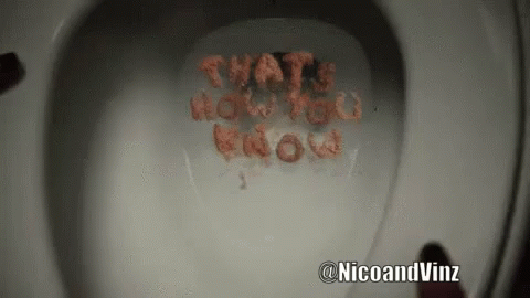 Toilet GIF - Drunk Musicvideo Thats How You Know GIFs