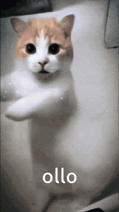 a cat in a bathtub with the word ollo written on the bottom