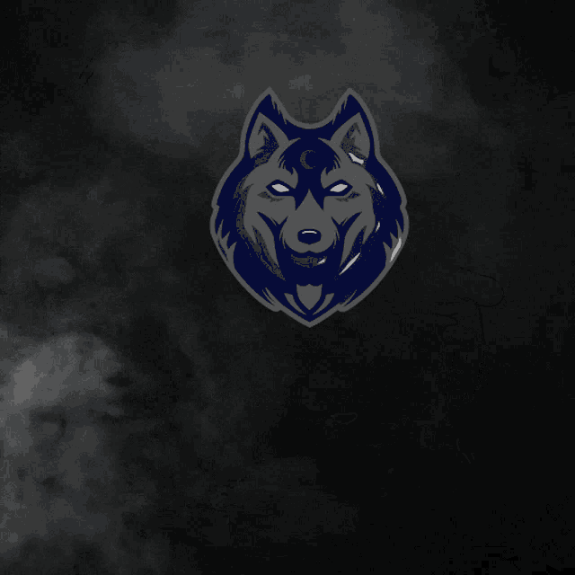 a logo for hentys69tj gaming league with a wolf head