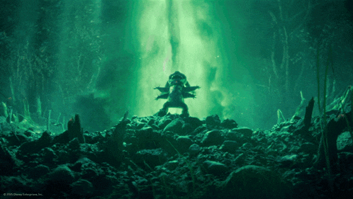 a picture of a frog in a cave with a watermark that says disney enterprises inc.