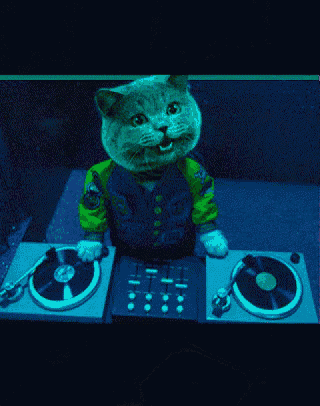 a cat in a varsity jacket is playing records