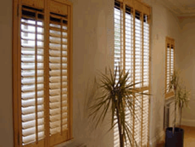 a room with wooden shutters on the windows and a plant in a pot .