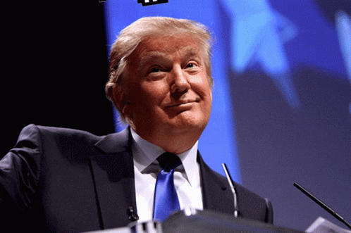 Gangsta Donald Trump GIF - Gangsta Donald Trump Shades On GIFs