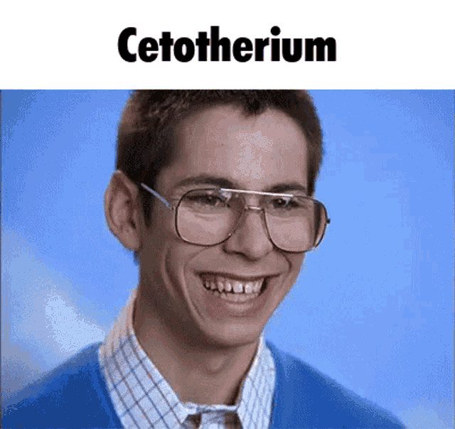Ceto Mute GIF - Ceto Mute Cetotherium GIFs