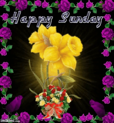 a card that says happy sunday with a yellow flower