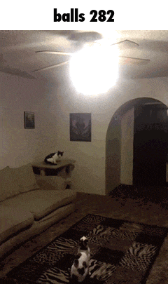 a picture of a living room with a ceiling fan and the words balls 282