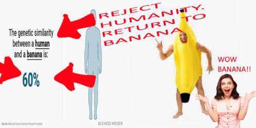 Banana Dna GIF - Banana Dna Human GIFs