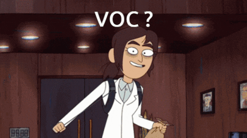 a cartoon character is smiling and holding a bag and the word voc is above her
