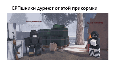 a screenshot of a video game with the words erpshiniki written on the top