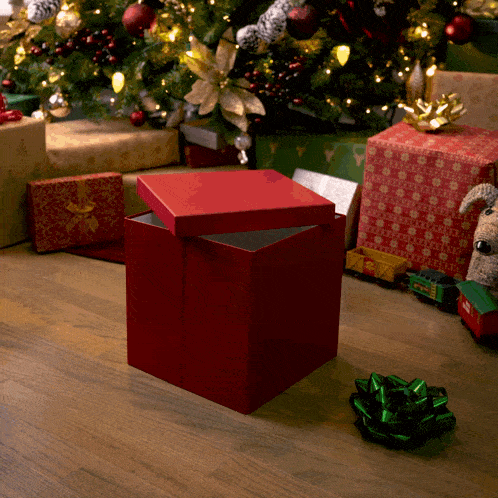 a red box with the lid open sits on a wooden floor