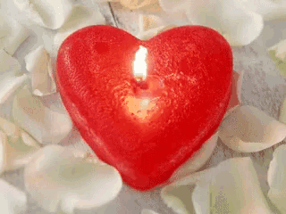 a red heart shaped candle is surrounded by white petals