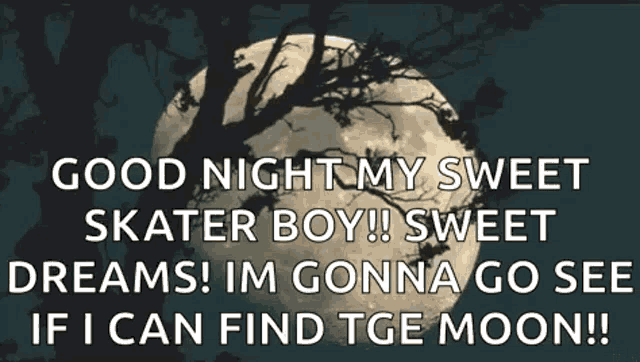 good night my sweet skater boy ! sweet dreams ! im gonna go see if i can find tge moon !!