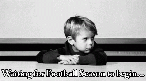 Waiting For Football Season To Begin GIF - Waiting Game Football Season Wait GIFs