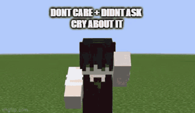 a minecraft character is standing in a field with the words `` dont care + didnt ask cry about it '' written above him .