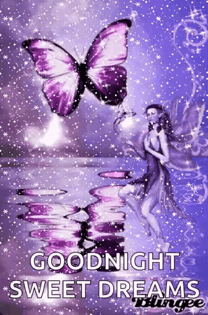 a goodnight sweet dreams greeting card with a purple butterfly and a fairy