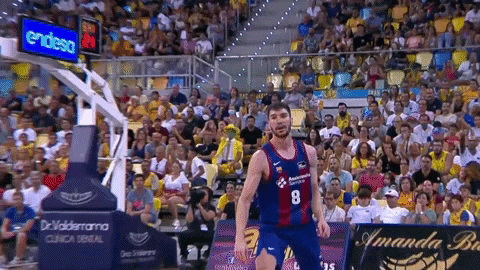 a basketball player with the number 8 on his jersey stands in front of a crowd