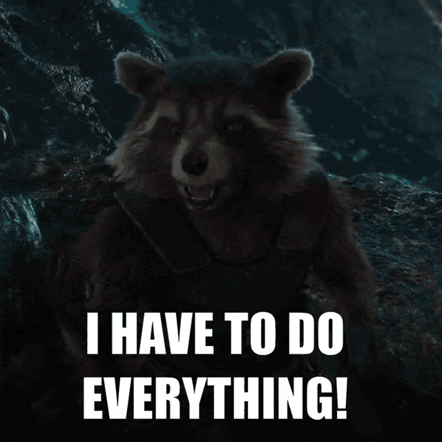 a picture of a raccoon with the words " i have to do everything " below it