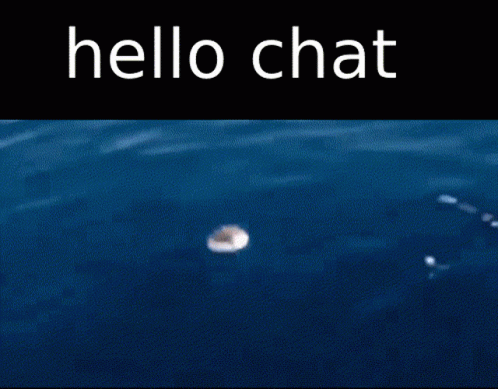 Hello Chat Chat GIF - Hello Chat Chat GIFs