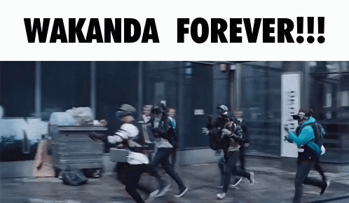 Wakanda Wakanda Forever GIF - Wakanda Wakanda Forever Halo GIFs