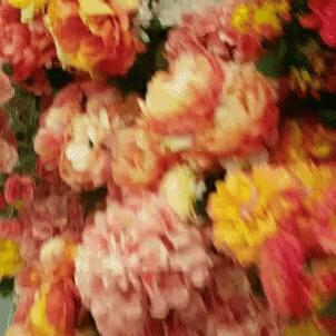 Orange Flowers GIF - Orange Flowers Pretty GIFs