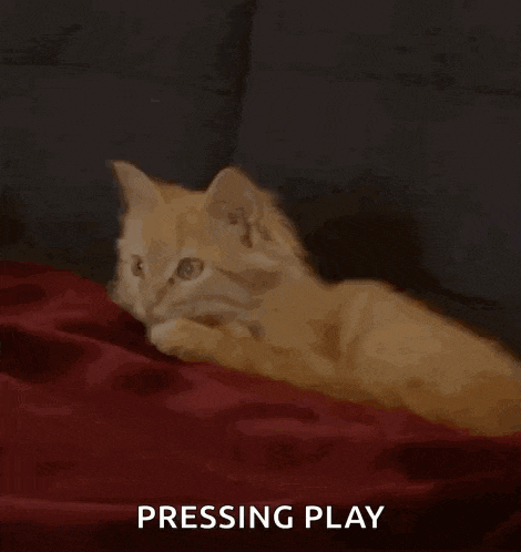 a kitten is laying on a red blanket with the words pressing play behind it