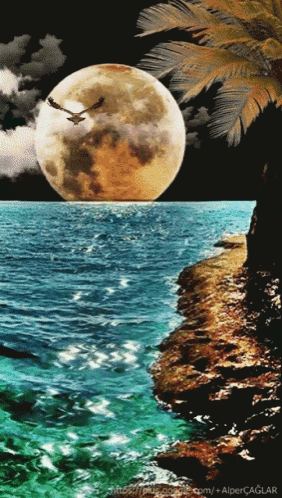 a full moon over a body of water with a palm tree in the foreground