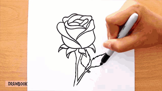 a person is drawing a rose with a marker on a piece of paper that says drawbook