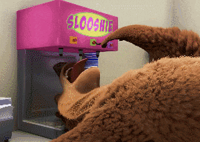 a cartoon bear is getting a slushie from a pink machine