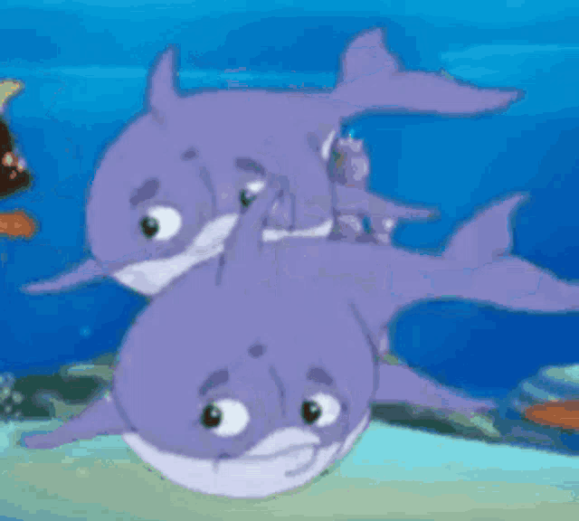 a couple of purple dolphins are swimming in the ocean .