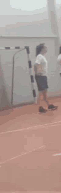 Lepa Vojka GIF