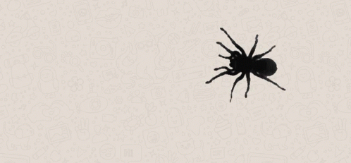 Animated Spider GIF - Animated Spider Crawling GIFs