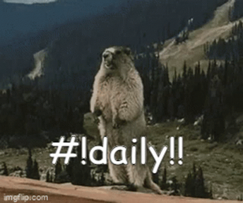Daily Daily Command GIF - Daily Daily Command Streak GIFs