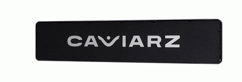 Caviarz Cars GIF - Caviarz Cars Licenseplate GIFs