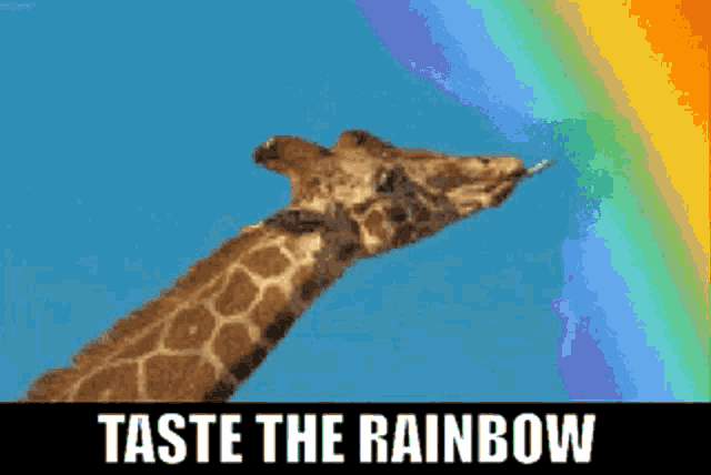 a giraffe licking a rainbow with the words taste the rainbow underneath