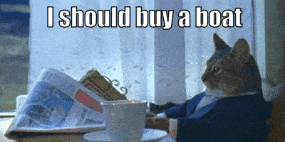 I Should Buy A Boat Newspaper Cat GIF