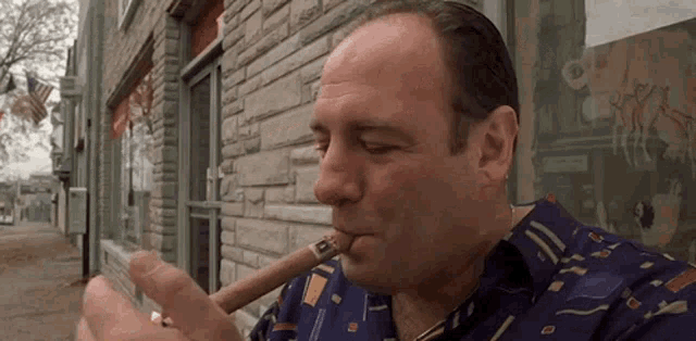 Sopranos Tony Soprano GIF - Sopranos Tony Soprano Cigar GIFs