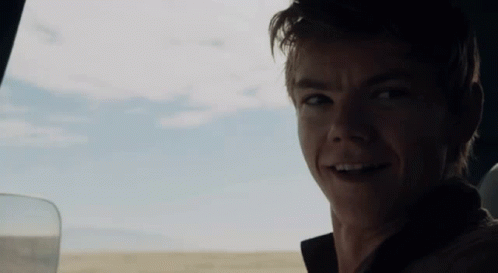The Maze Runner The Scorch Trials GIF - The Maze Runner The Scorch Trials Newt GIFs