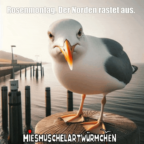 a seagull is standing on a wooden post in front of the ocean