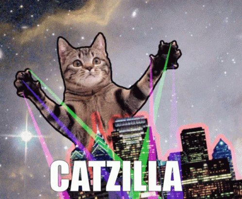 Cat Catzilla GIF