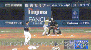 Hanshin Tigers GIF - Hanshin Tigers Risp GIFs