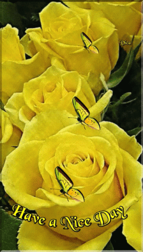 Szép Napot Rose GIF - Szép Napot Rose GIFs