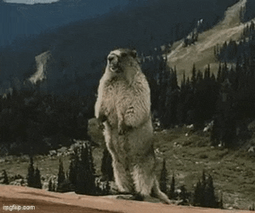 a groundhog is standing on its hind legs in front of a mountain with the words `` nervevar '' written on it .