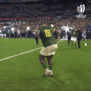 a man on a soccer field that says world cup france on the bottom