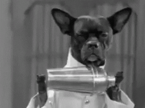 a black and white photo of a dog wearing a lab coat holding a shaker .