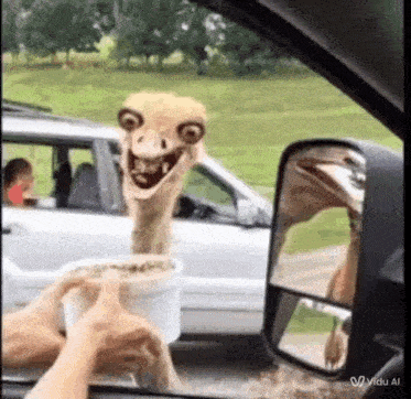 a person is holding a cup of ice cream in front of an ostrich .